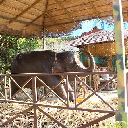 Shangri La Jungle Village Molem Bagian luar foto