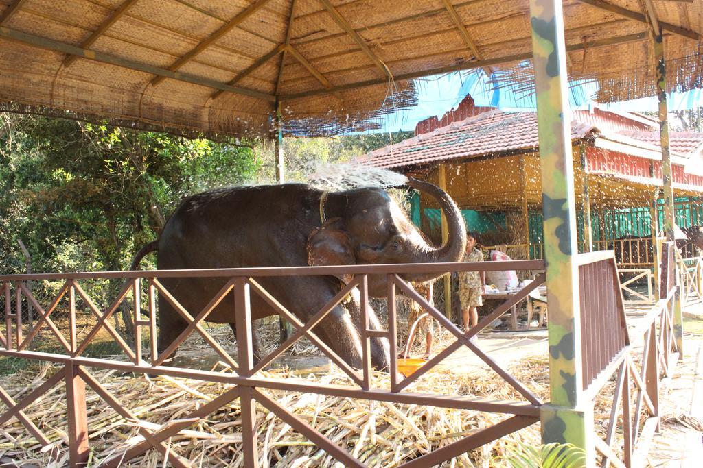 Shangri La Jungle Village Molem Bagian luar foto